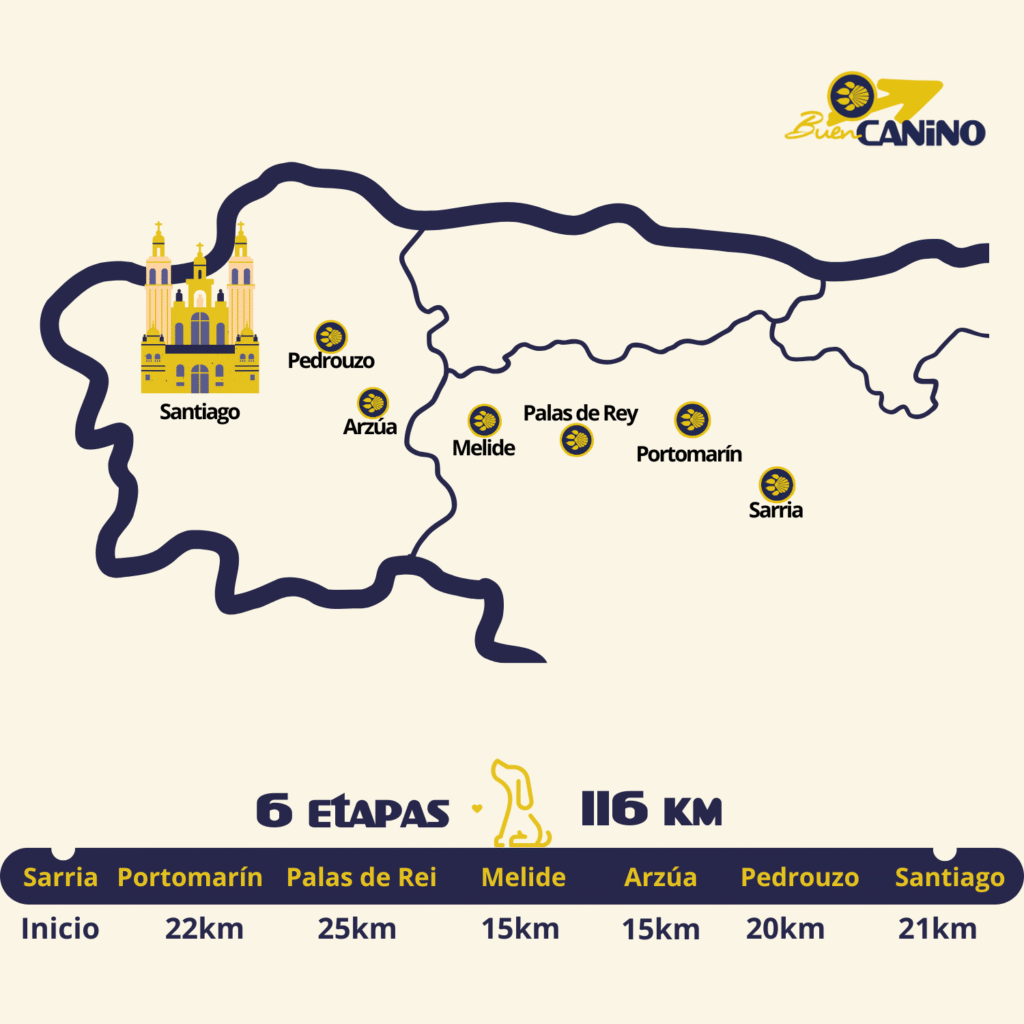 Camino francés 6 etapas | Viaje organizado Agencia pet friendly