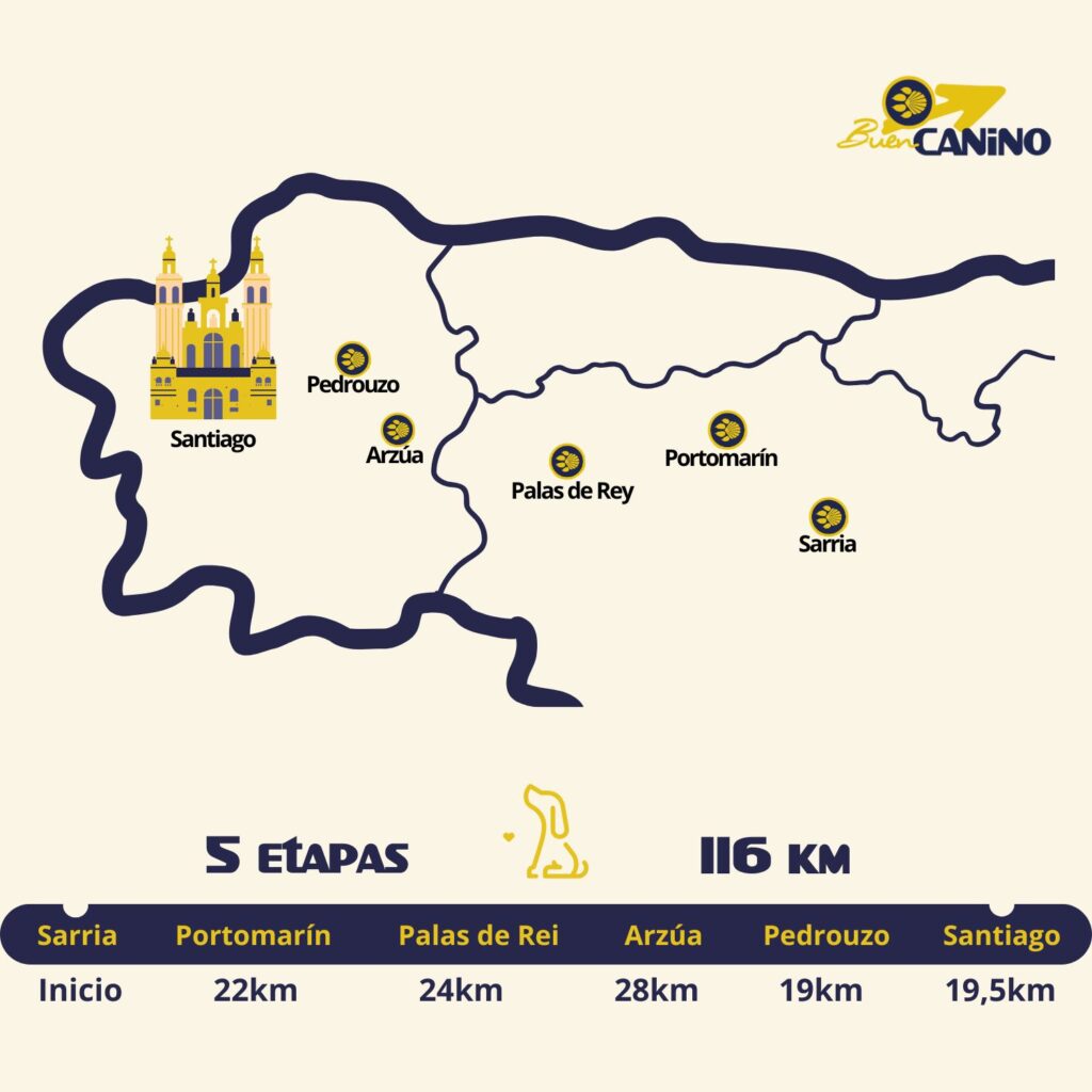 etapas camino francés con perro