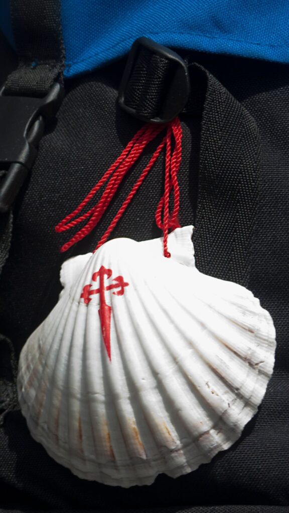 destino camino con perro | Buen canino