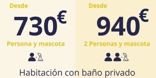 Camino de Santiago con mascota | Buen Canino