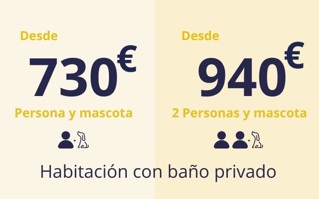 Camino de Santiago con mascota | Buen Canino