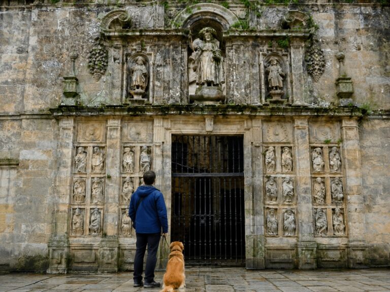 Xacobeo 2027: el Año Santo para hacer el Camino con tu perro
