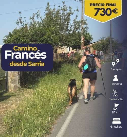 Camino francés organizado con perro | Camino desde Sarria