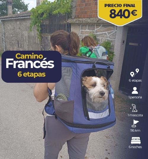 camno desde sarria en 6 etapas con perro
