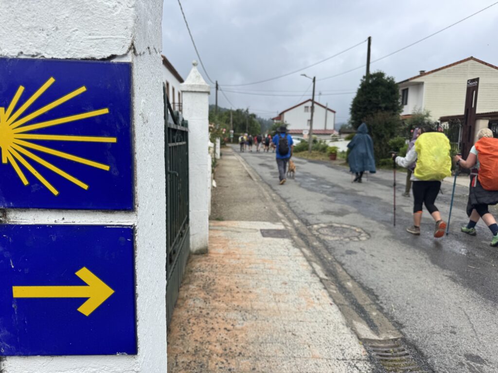 viajes Camino de santiago | Buen canino