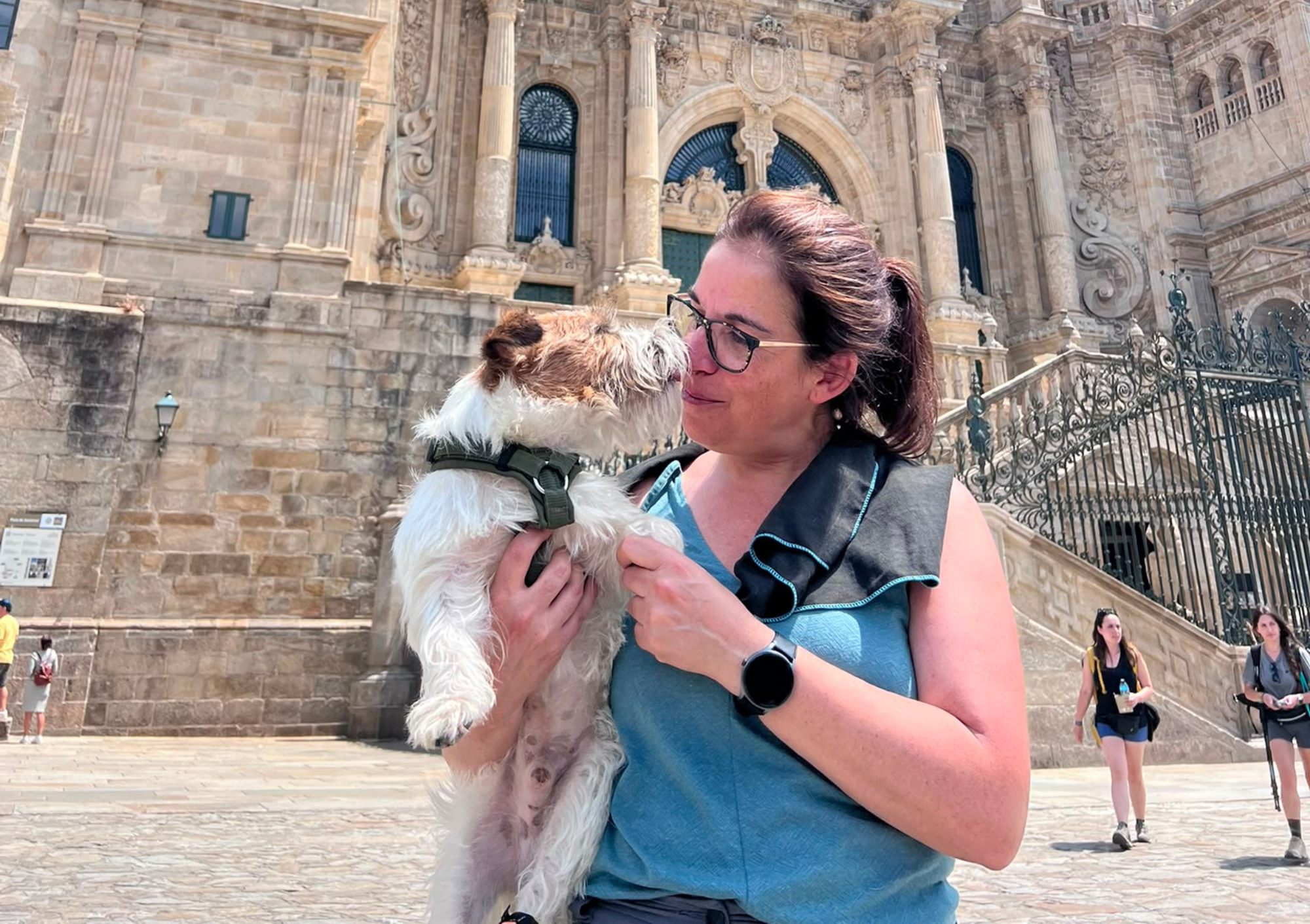 Camino francés organizado con perro | Camino desde Sarria
