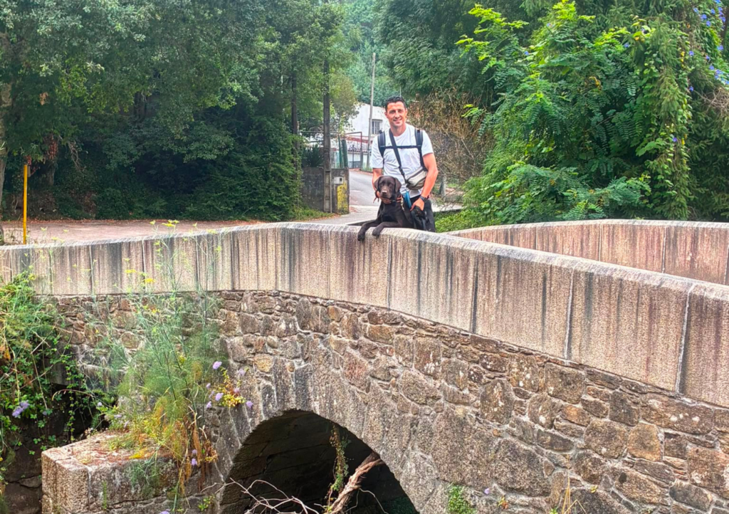 Camino desde Tui a Santiago con perro