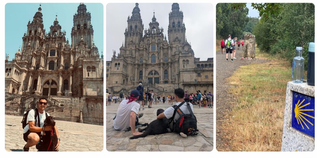 hacer camino de santiago con perro | Camino portugués con perro