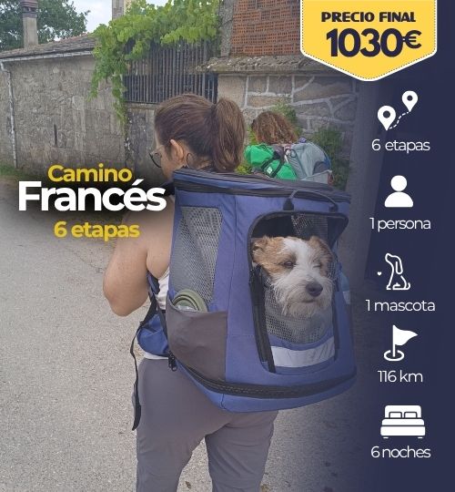 camno desde sarria en 6 etapas con perro