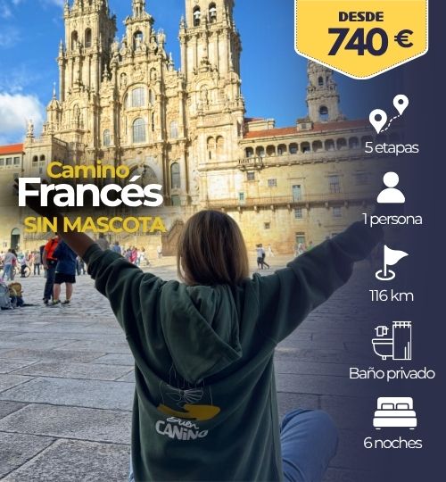 Camino francés organizado Sarria Santiago
