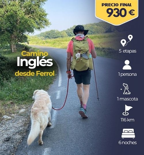 Camino inglés organizado co n perrro