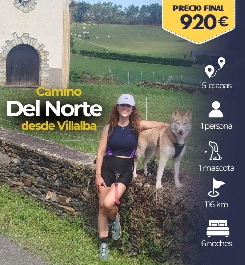 camino norte con perro