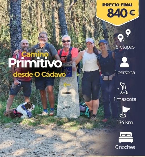Camino primitivo a santiago con perro