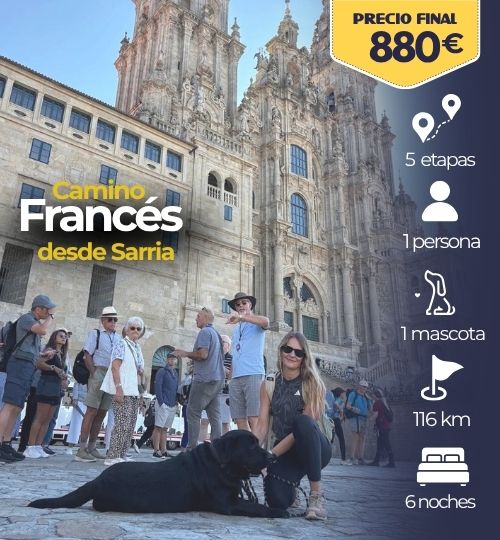 camino francés con perro desde Sarria Buen Canino