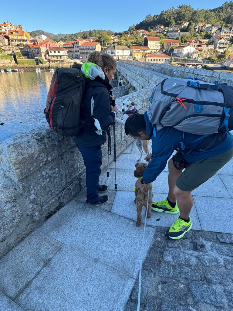Camino dogfriendly de santiago | espiritual