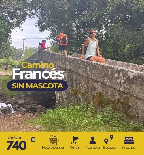 camino francés desde Sarria